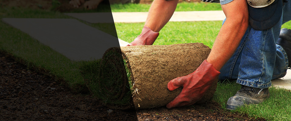 Lucedale Landscapers